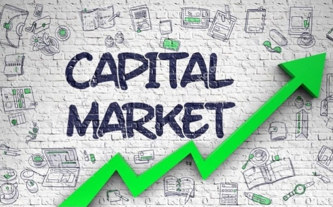 Chức năng của Capital market
